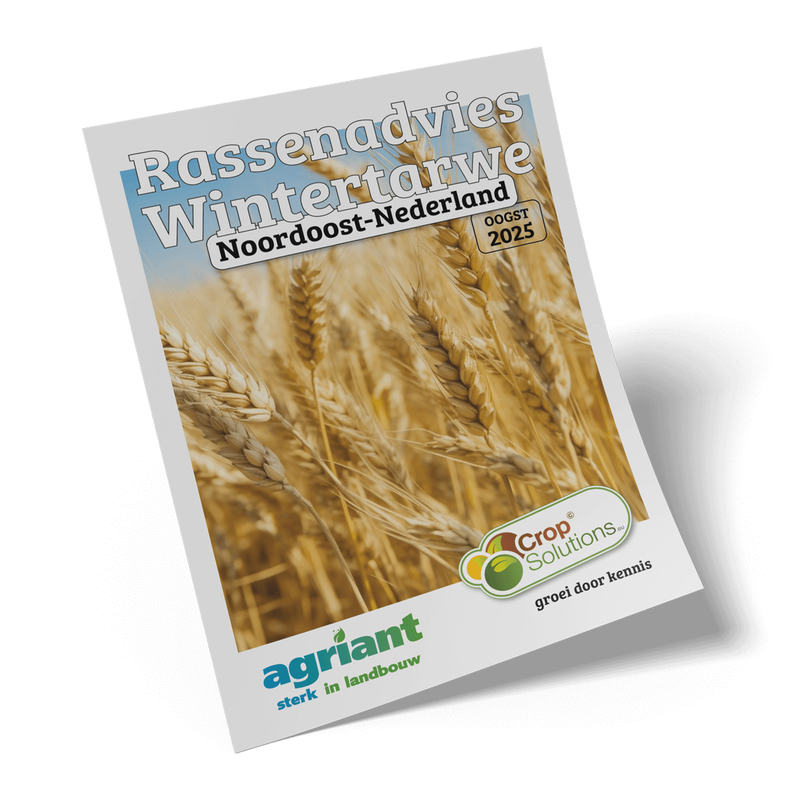 2024-CS-Folder-Wintertarwe-Agriant-09-WEB